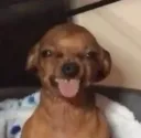 jog