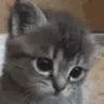 sad