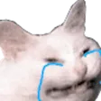 erinclCry2