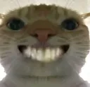 catgrin