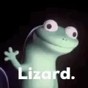 lizard