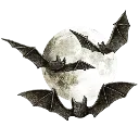g_m