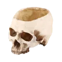 ow_s