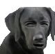 hiendog Discord emoji