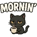 morning