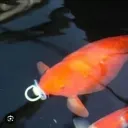 Screenshot20250828000426