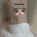 imanidiotloser