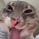 rigbyyeah