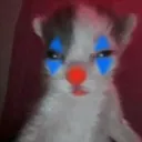 jester
