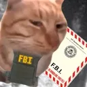 fbi