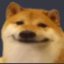 doge_doge_doge doge_doge_doge