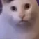 catHuh