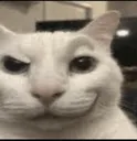 FreakyCat