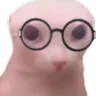 bingusnerd