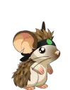 63