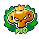 Pro_Ranked