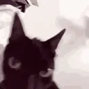 angrycat