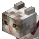 sadminecraftcat