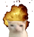 catexplode