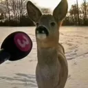 erm