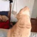 BroJustLookUpTheSolutionIsAbove