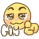 FS_gay_point