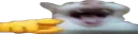BWAJAJA BWAJAJA