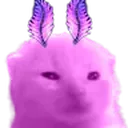 astralglorp astralglorp