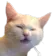 yert