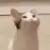 emoji_36