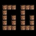 GGlungus