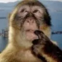 monkeythinkmonkeydo