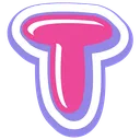 05_t