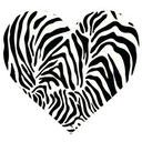 zebraheart