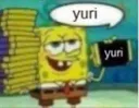 db_spongeyuri