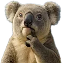 KoalaThink