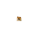 dogsmilesmallest