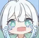 fei_cry
