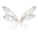 b_5butterly