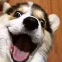 happy