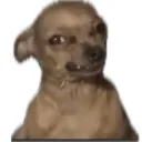 emoji_83 emoji_83