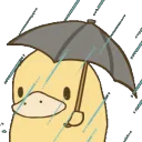 Duck_Raining