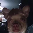Tired Tired