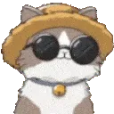 w_CattoVibe