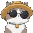 azzyno1Cattovibe
