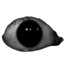 eye