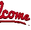 1d_wel2