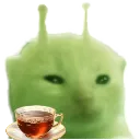 GlupOfTea