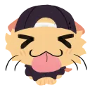 catjardsilly