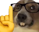 Nerdog